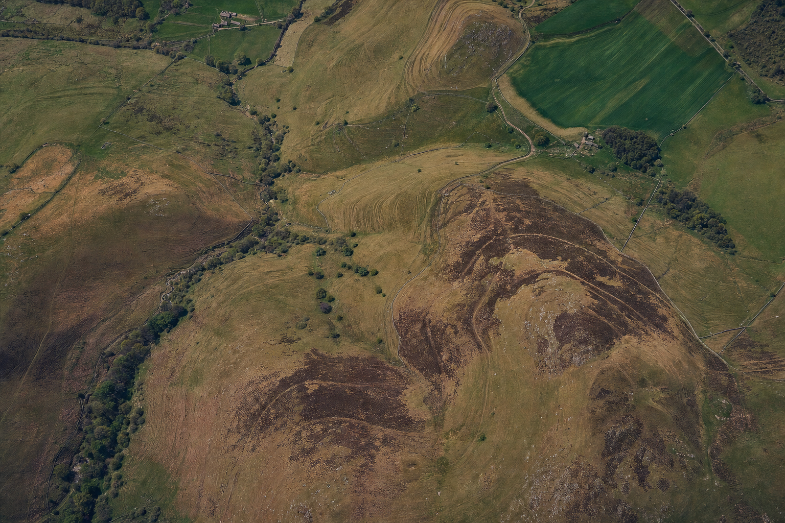 Drone topographic survey data output showing terrain mesh